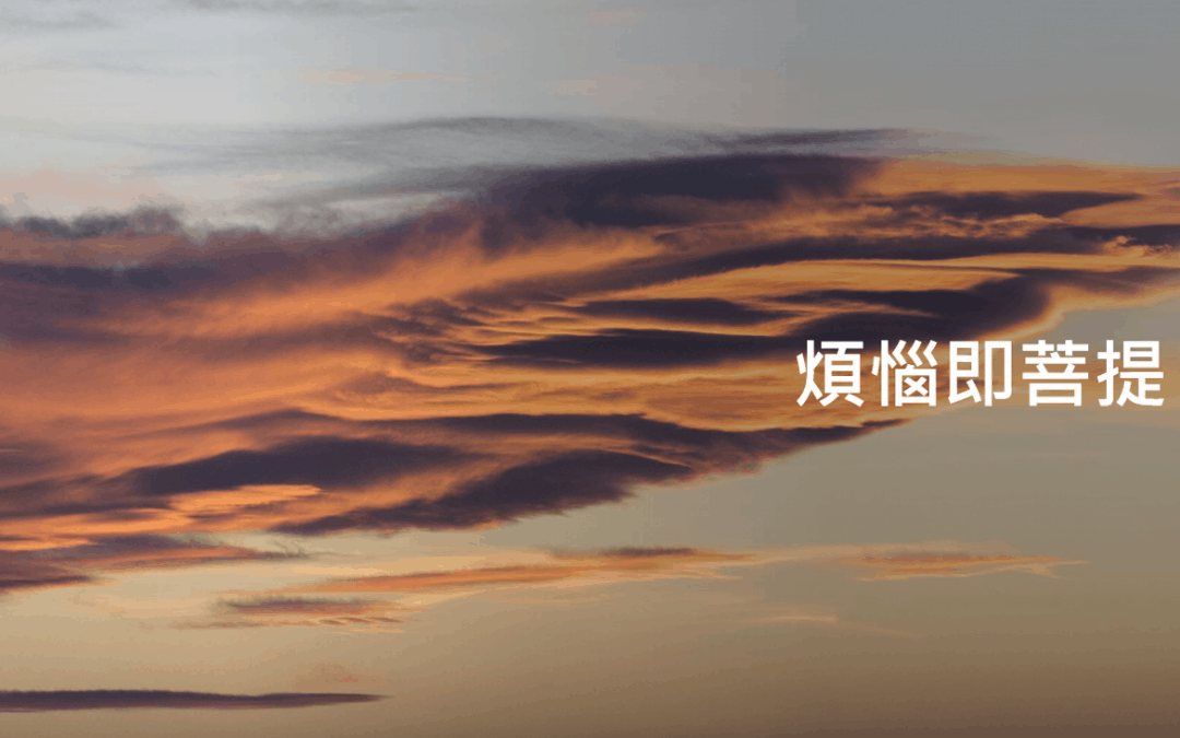 白話佛法網路講座(91) 煩惱即菩提